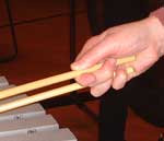Yamaguti3.jpg